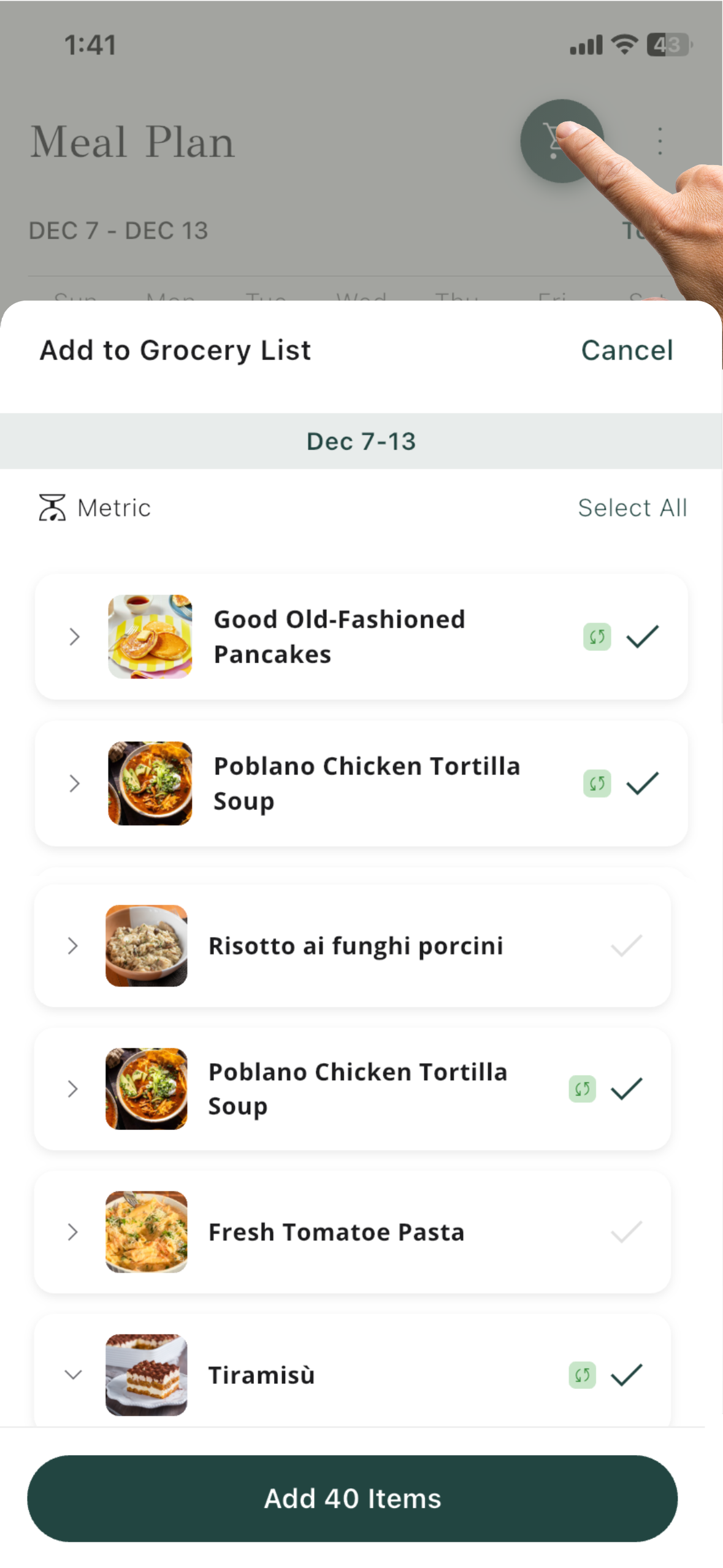 Shopping cart screen